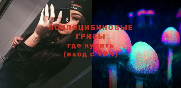 гидра Осинники