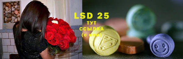 гидра Осинники