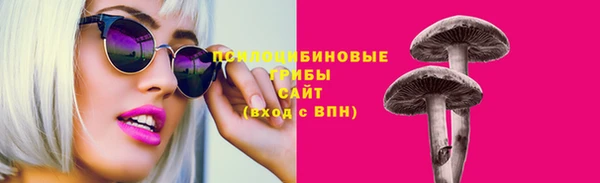 гидра Осинники