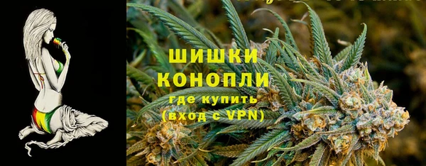 гидра Осинники