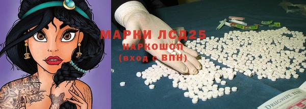 гидра Осинники