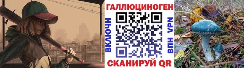 магазин  наркотиков  ОМГ ОМГ сайт  Галлюциногенные грибы Psilocybe  Туапсе 